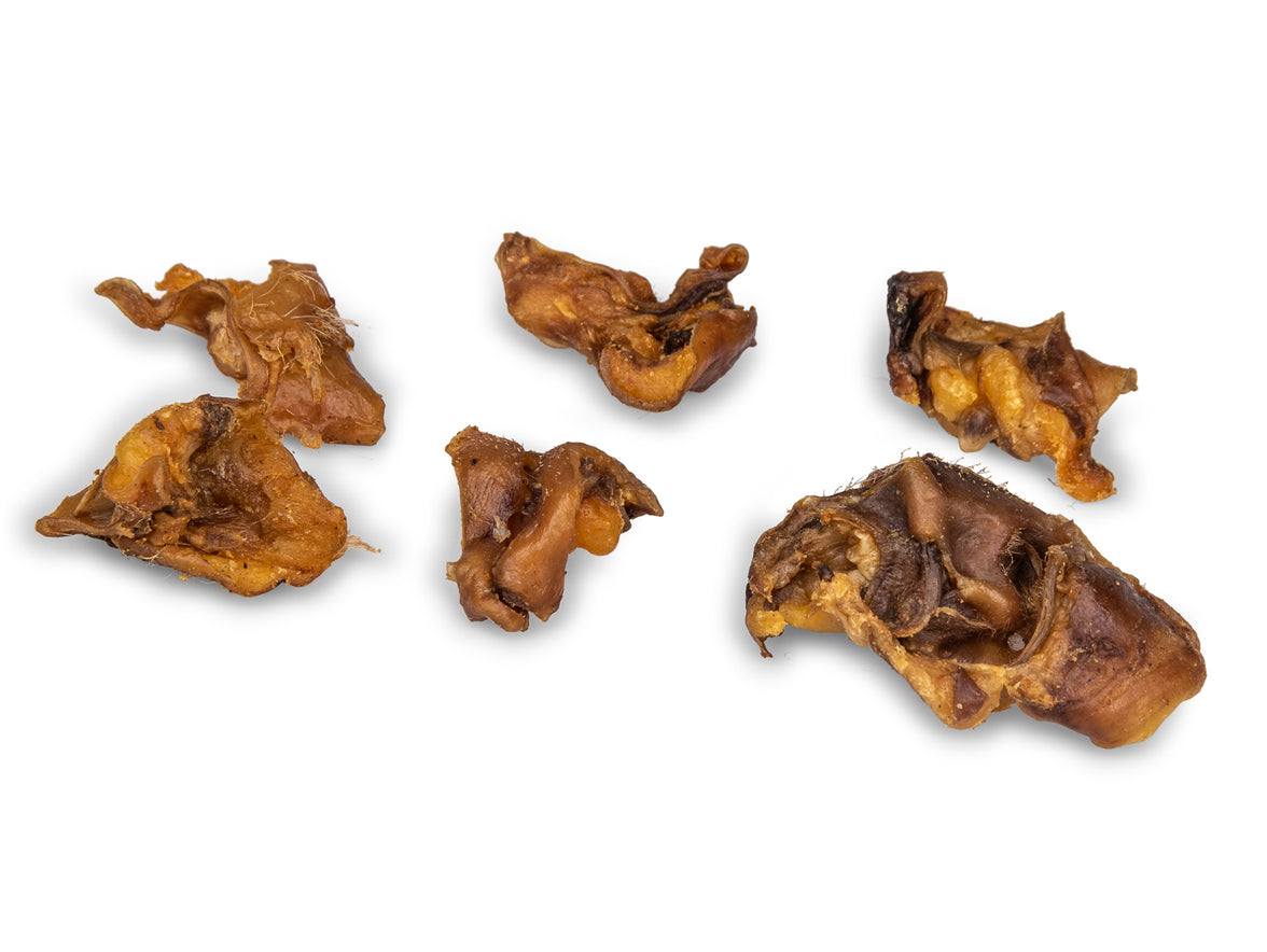 Butcher Pig Ears Shells