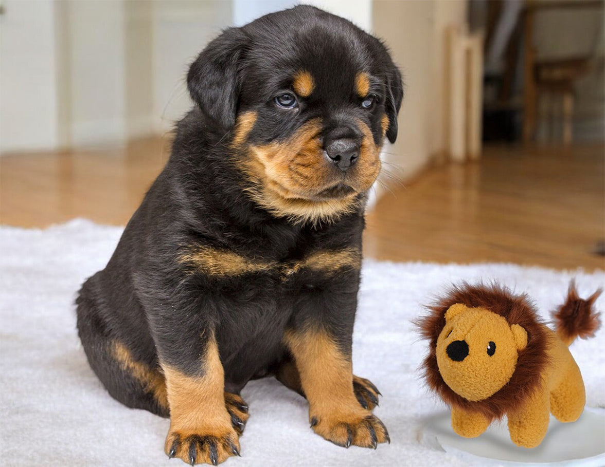 Speelgoed hond pluche Crock Buddy Leeuw 12cm