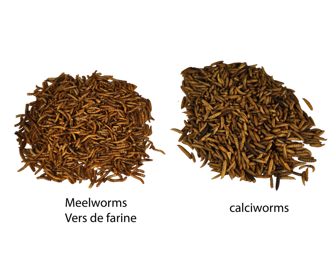 Emma's Garden Calciworms