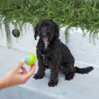Extreme Play Dog DuraBall Small - 5cm- drijft
