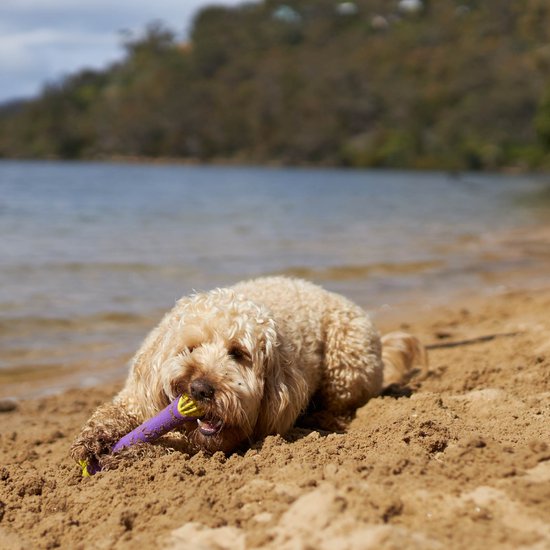 Extreme Play Dog Chew Stick - Medium - 24cm drijft