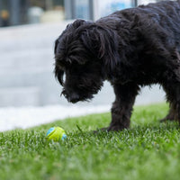 Extreme Play Dog DuraBall Small - 5cm- drijft