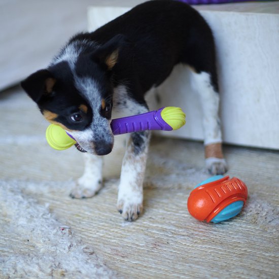 Extreme Play Dog Chew Stick - Medium - 24cm drijft