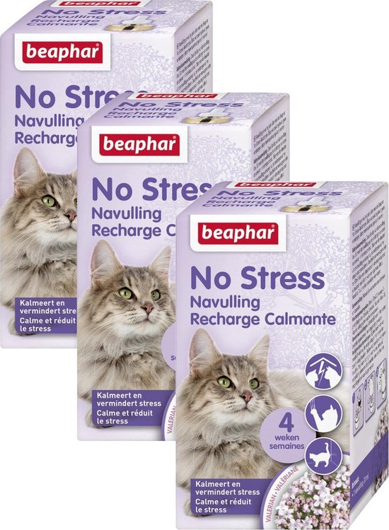 No Stress Recharge Chat 30ml 