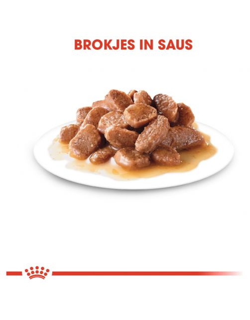 Hairball Care in Gravy (brokjes in saus) 12x85g