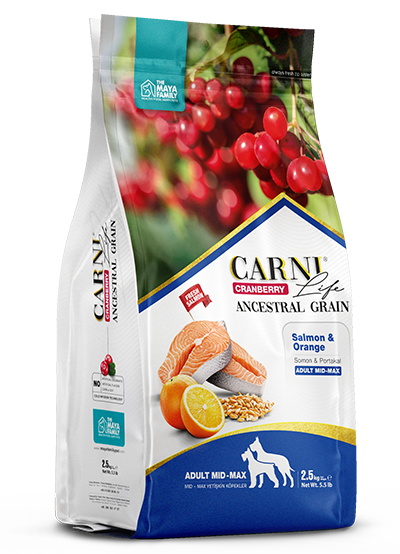Carni Life Cranberry ANCESTRAL GRAIN SALMON &amp; ORANGE ADULT MEDIUM &amp; MAXI