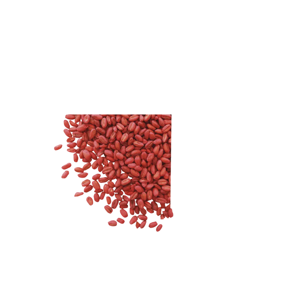 Generation Grain'Tech