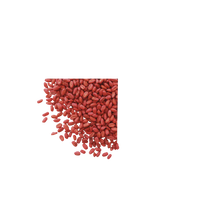 Generation Grain'Tech