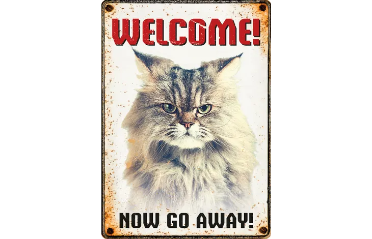 Bord blik Cat Go Away (v) EN