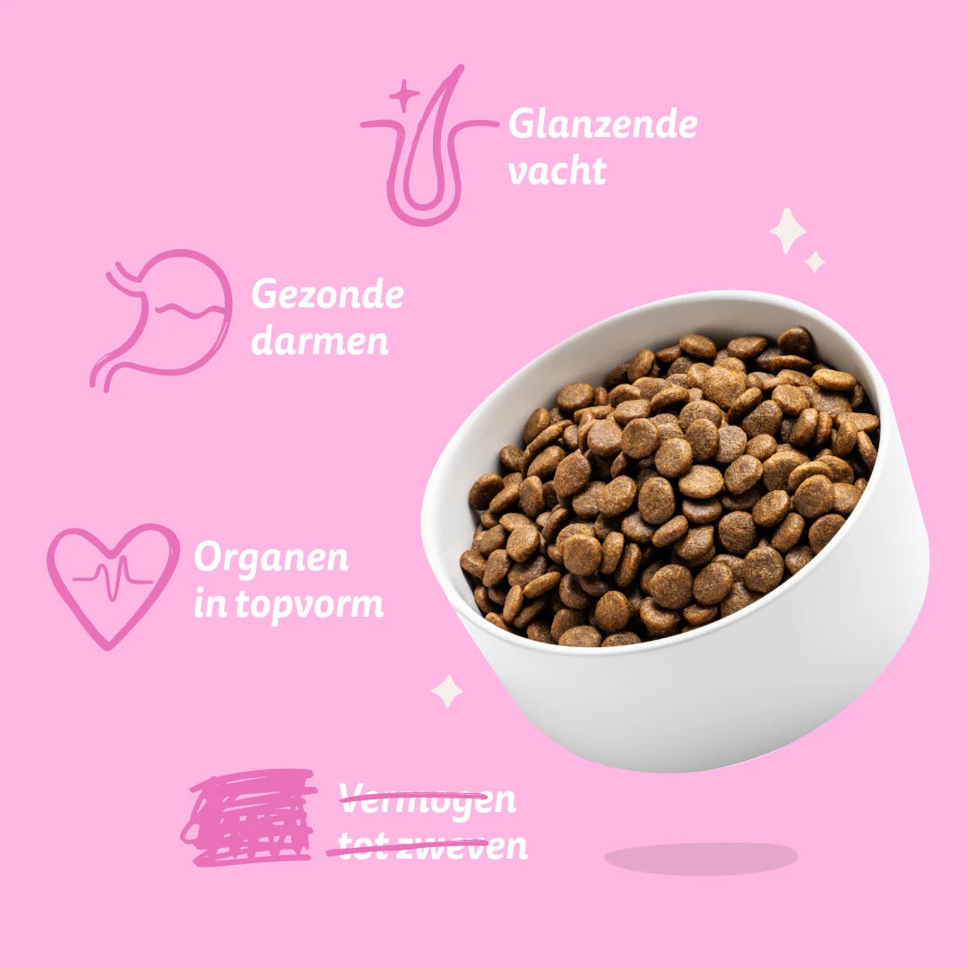 Plantaardige hondenbroken Rode Biet & Pompoen 1 kg