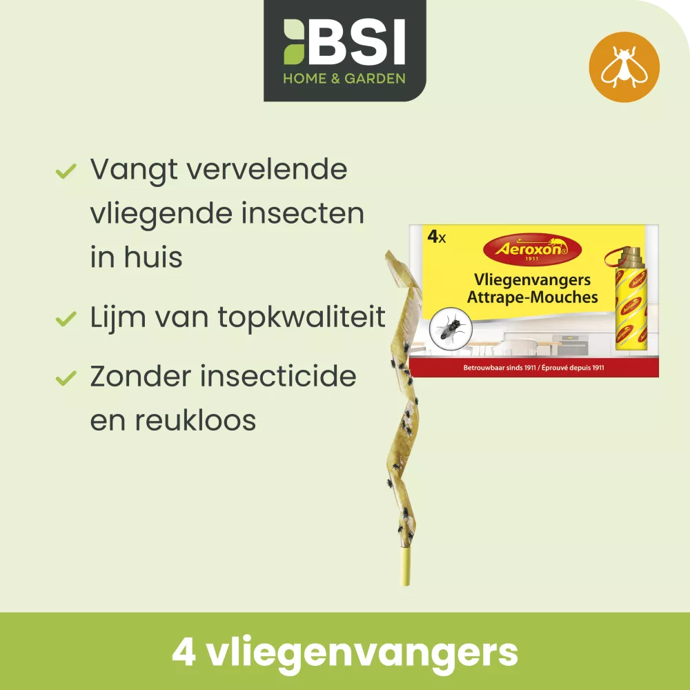 Vliegenvangers 4 st