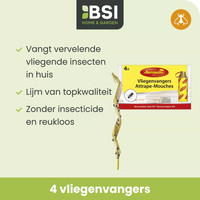 Vliegenvangers 4 st