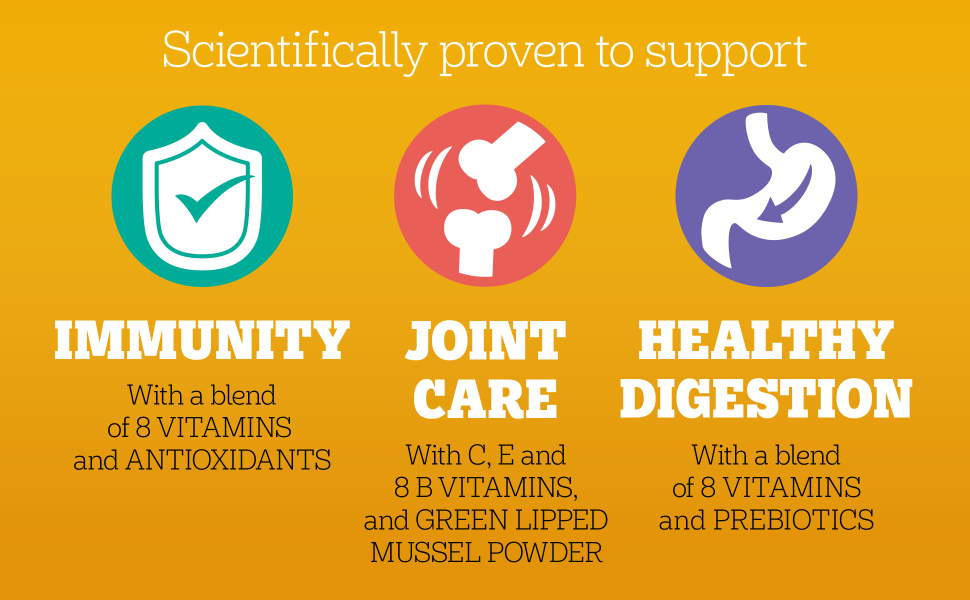 Multivitamines Immunité 30 Mous à Mâcher pour Chien 180g 