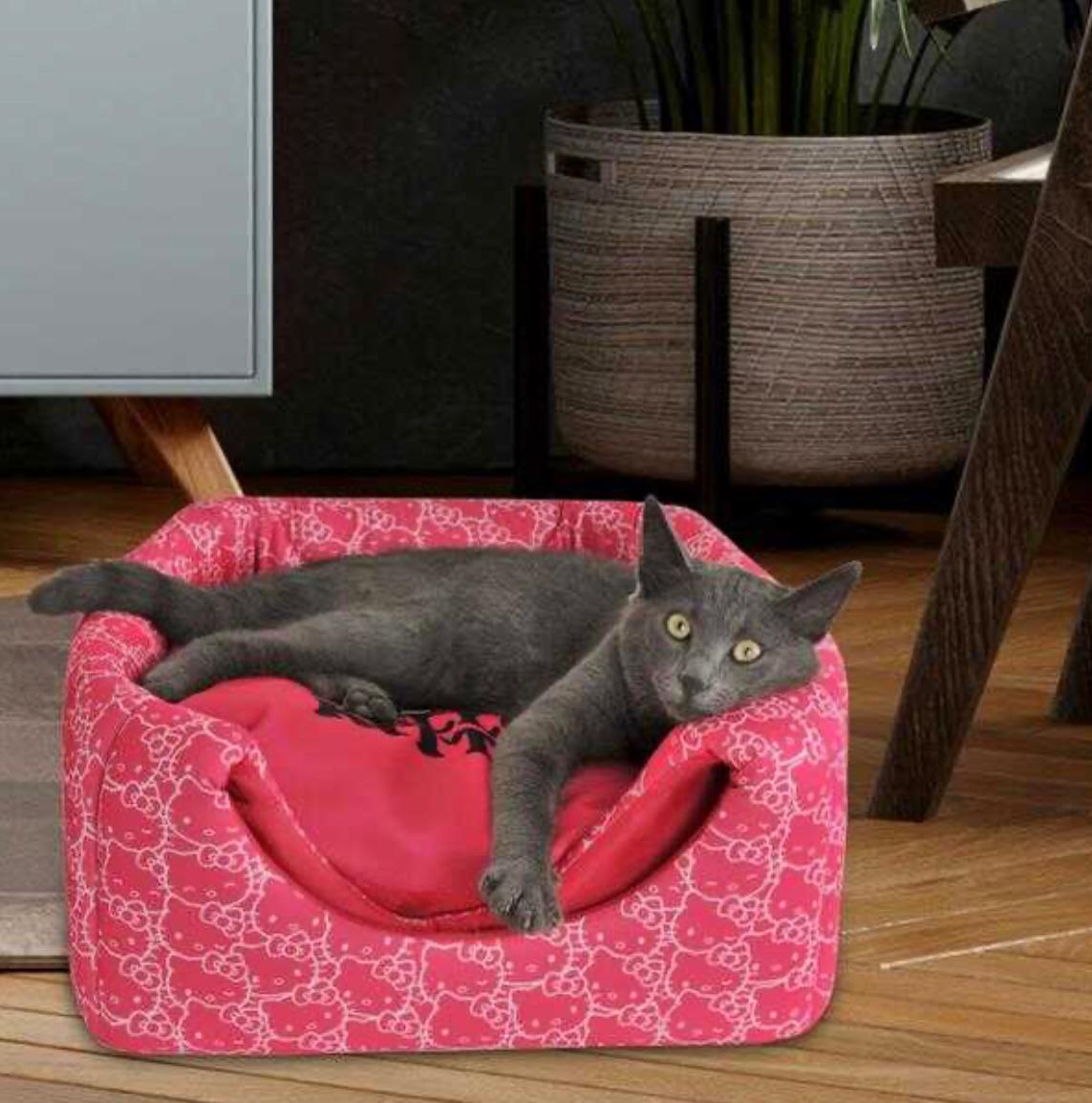 Maison et lit cube pour chat avec 3 fonctions