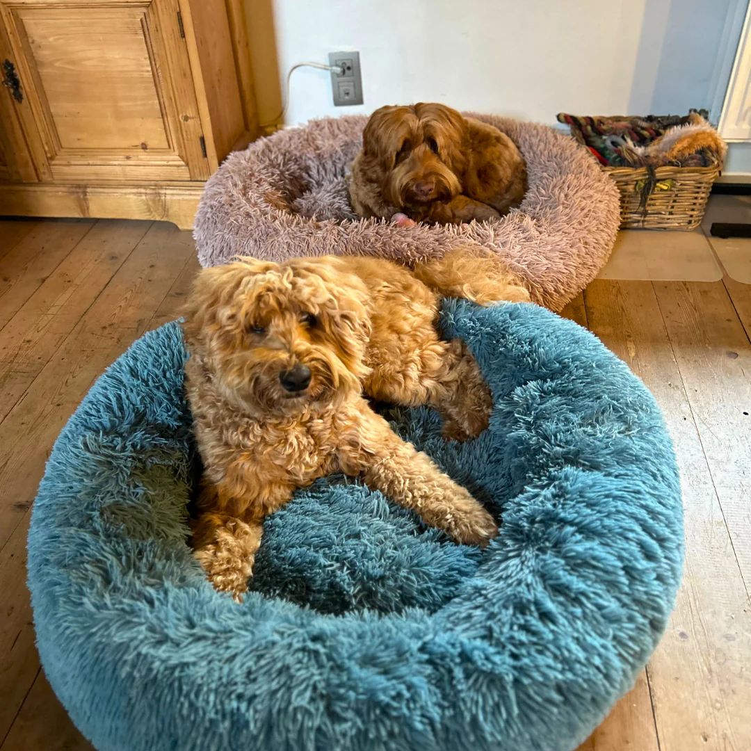 Donutmand Royal Blauw 90cm