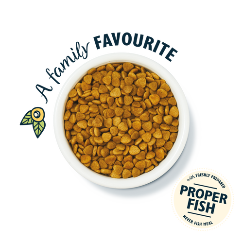 White Fish &amp; Salmon Dry Food 800g