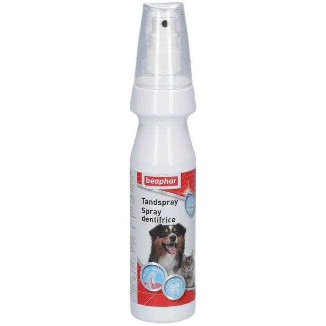 Tandspray 150ml