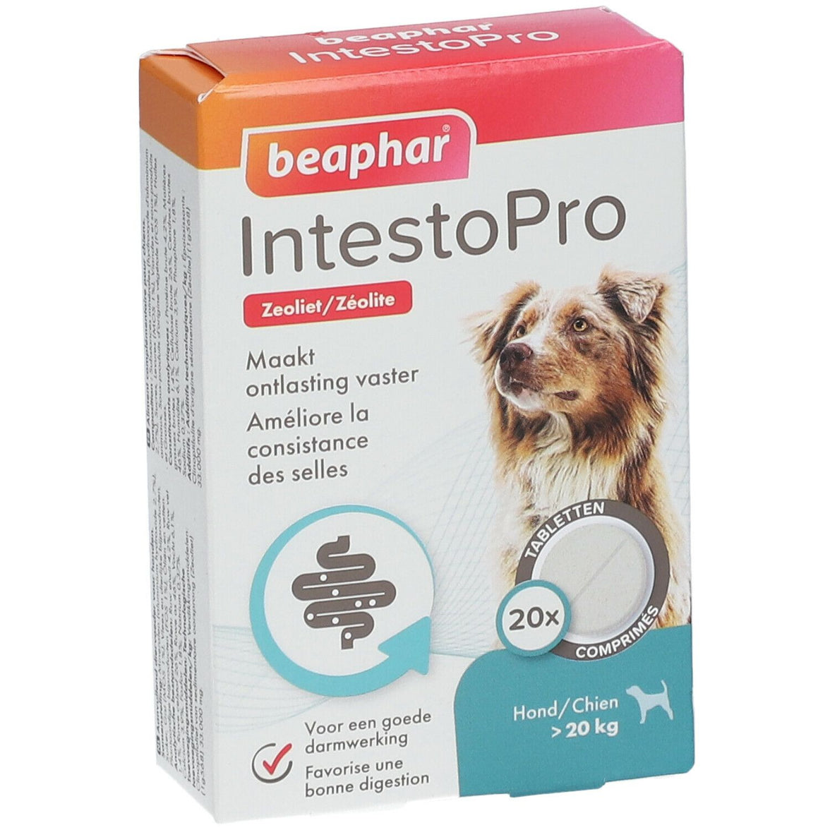 Intestopro Tablets Dog M/L 20 pcs 