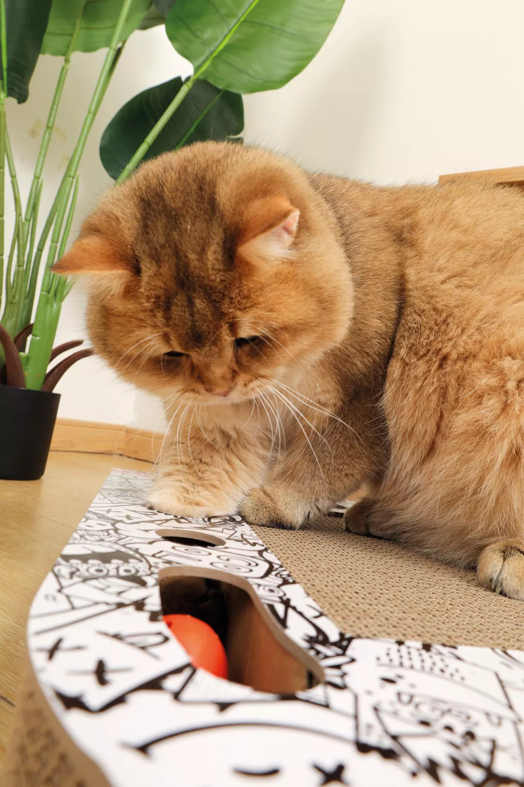 URBANSTYLE Freestyle kKrabkarton - Zwart & Wit