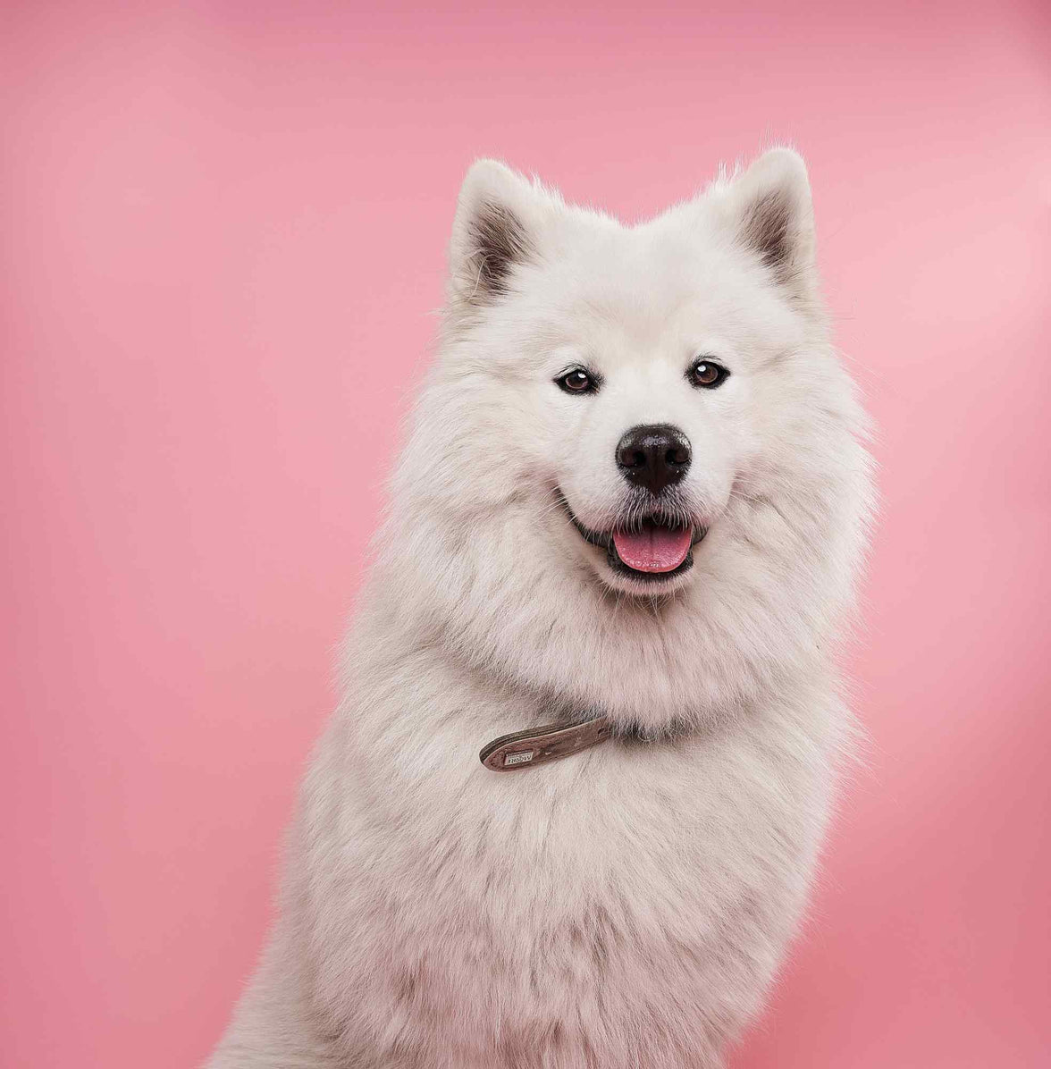 Burbur Two-Phase Green Caviar  Hondenconditioner 250 ml