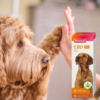 CBD Olie 5% 10ml