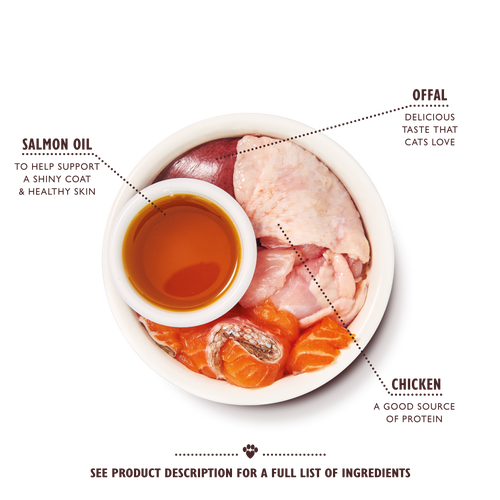 Pâté de poulet pour chatons