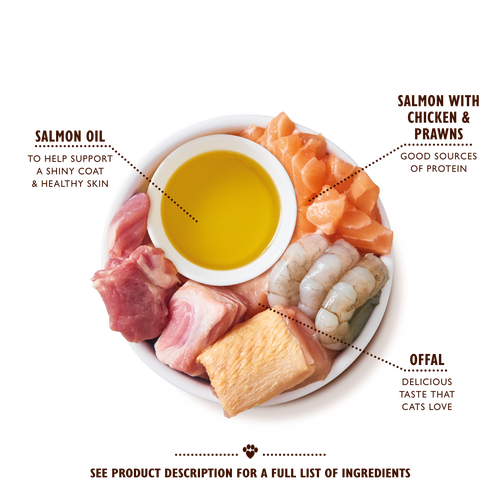 Salmon with Chicken &amp; Prawns Pate