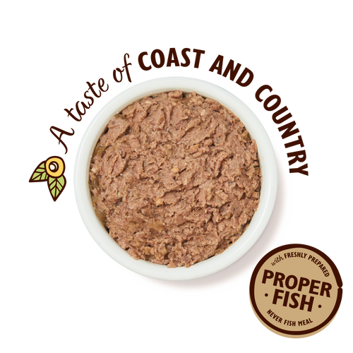 Salmon with Chicken &amp; Prawns Pate