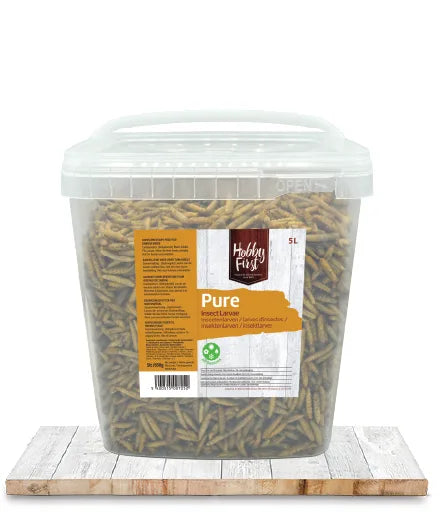 Insect Larvae 5l