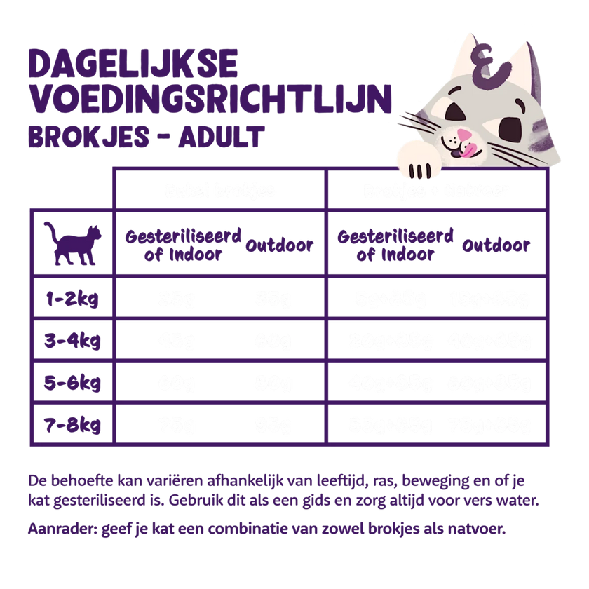 Graanvrije Brokjes met Verse Zalm