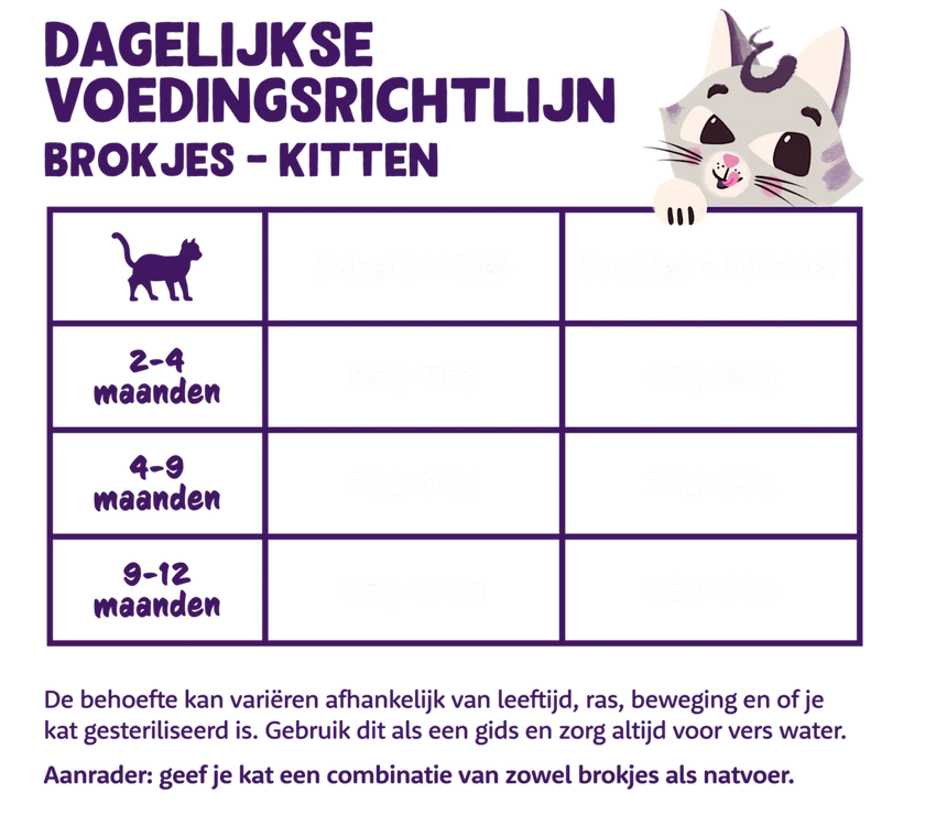 Graanvrije Brokjes met Verse Eend en Kip Kitten