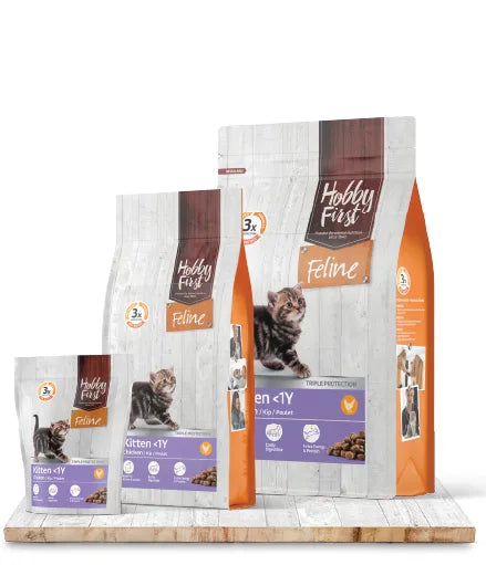 Feline Kitten <1 jaar