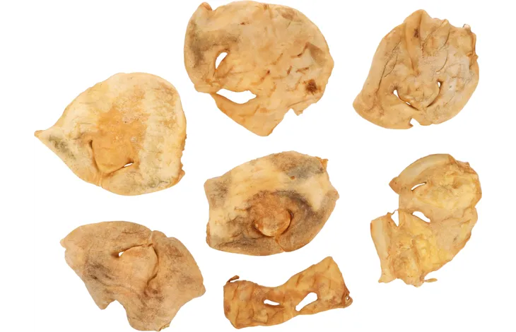 Geitenneus 50 stuks Naturlijke hondensnack