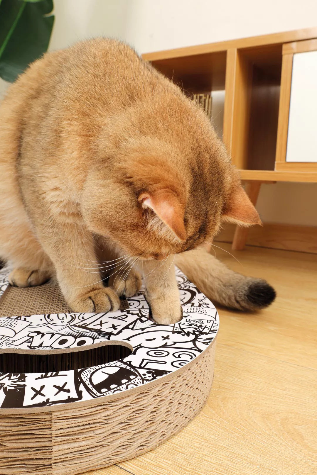 URBANSTYLE Freestyle kKrabkarton - Zwart & Wit