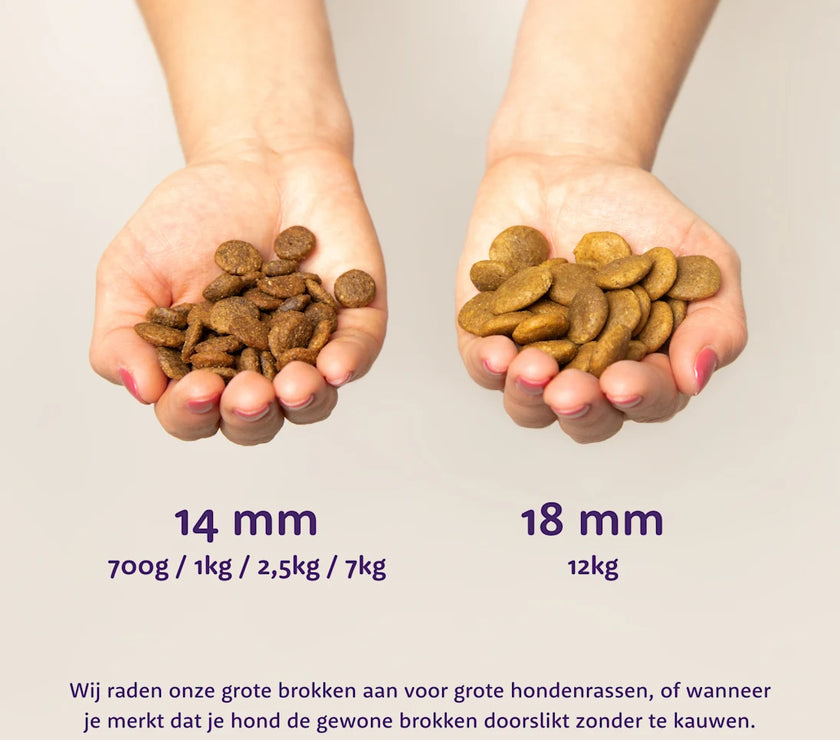 Graanvrije Brokjes met Verse Scharrelkip