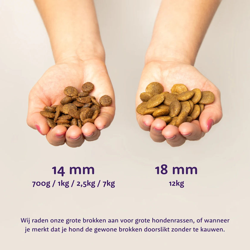 Graanvrije Brokjes met Verse Scharrelkip
