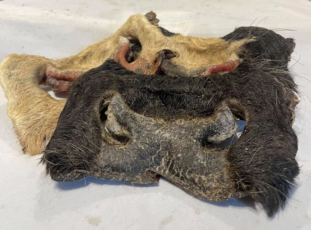 Koeienneus met vacht Natuurlijke hondensnack