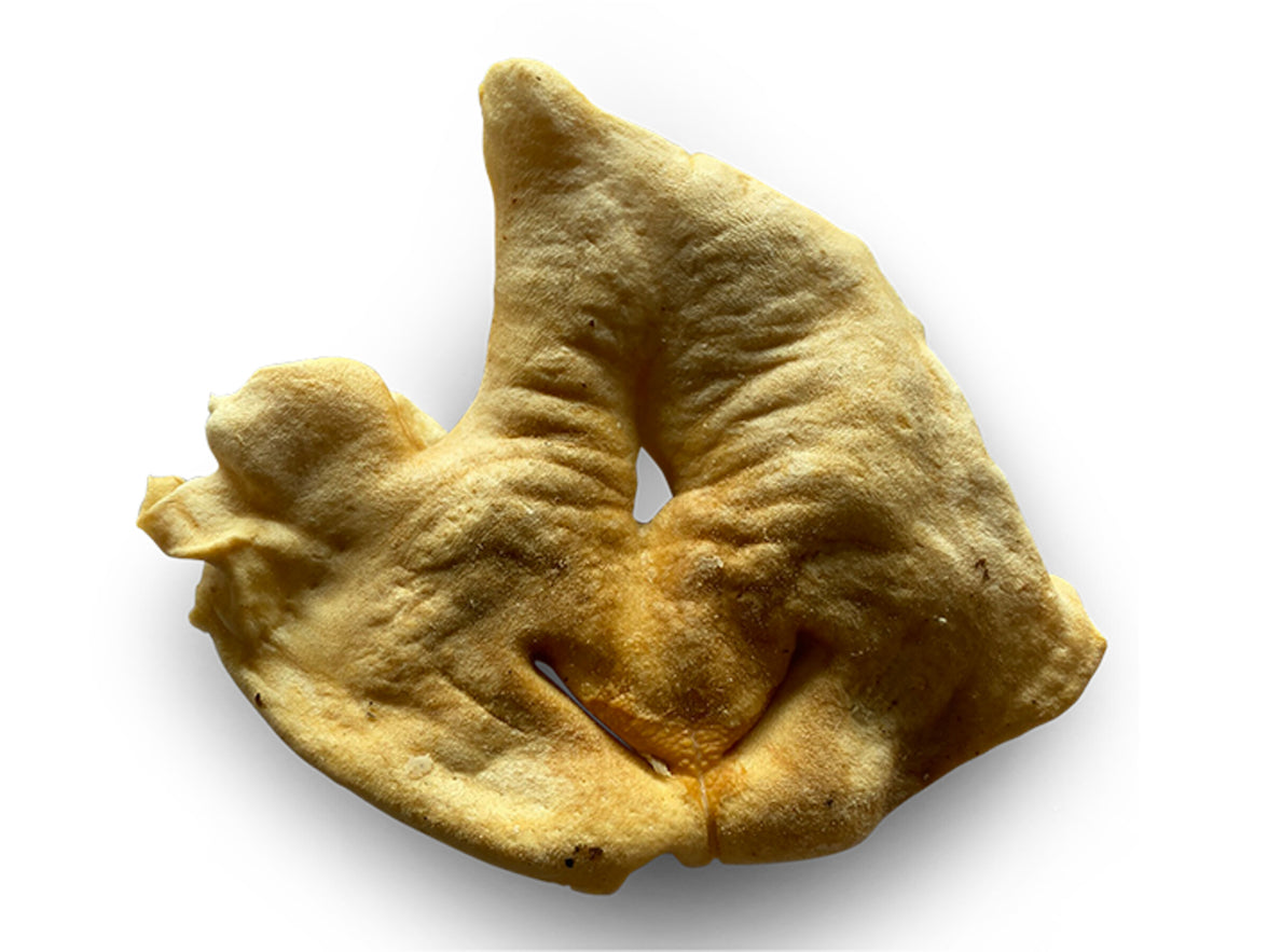 Lamsneus 50 stuks Natuurlijke hondensnack