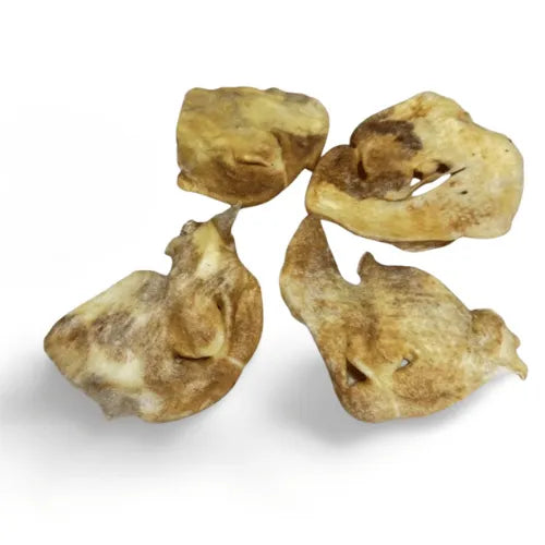 Lamsneus 50 stuks Natuurlijke hondensnack