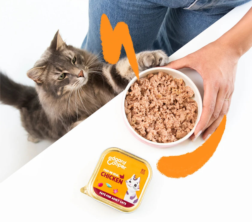 Kip - Paté 85g