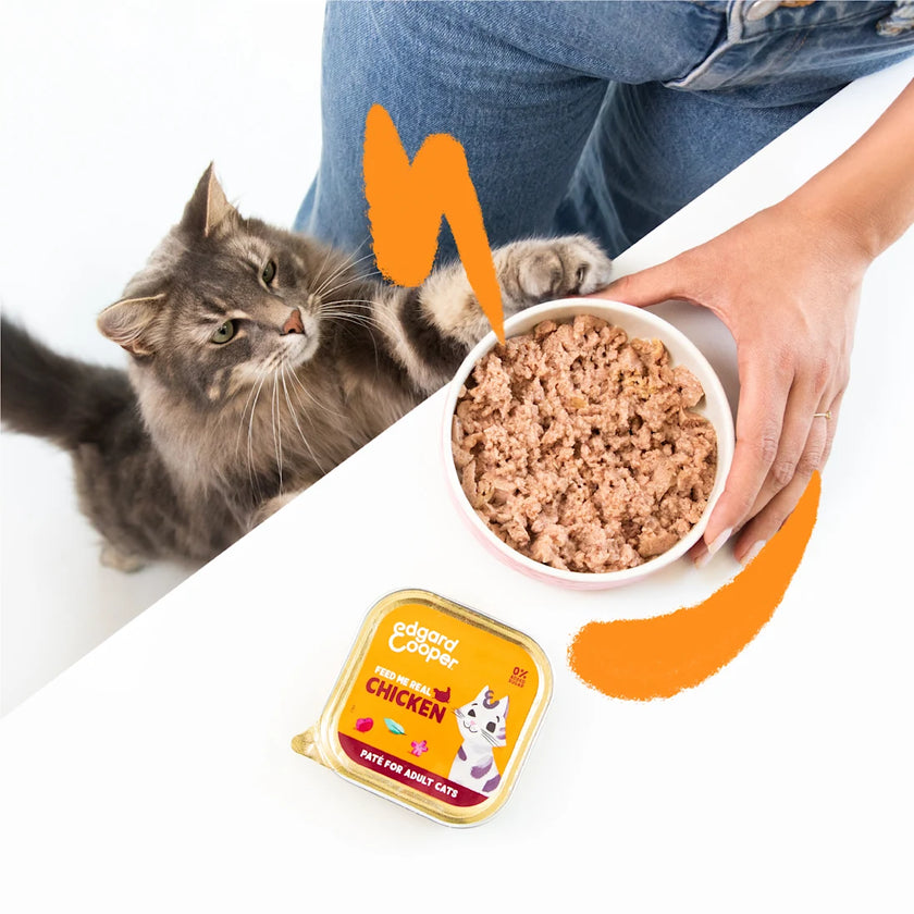 Kip - Paté 85g