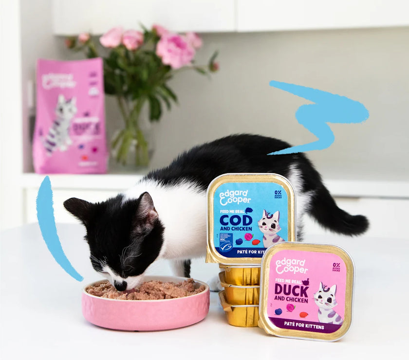 Eend en Kip - Paté Kitten 85g