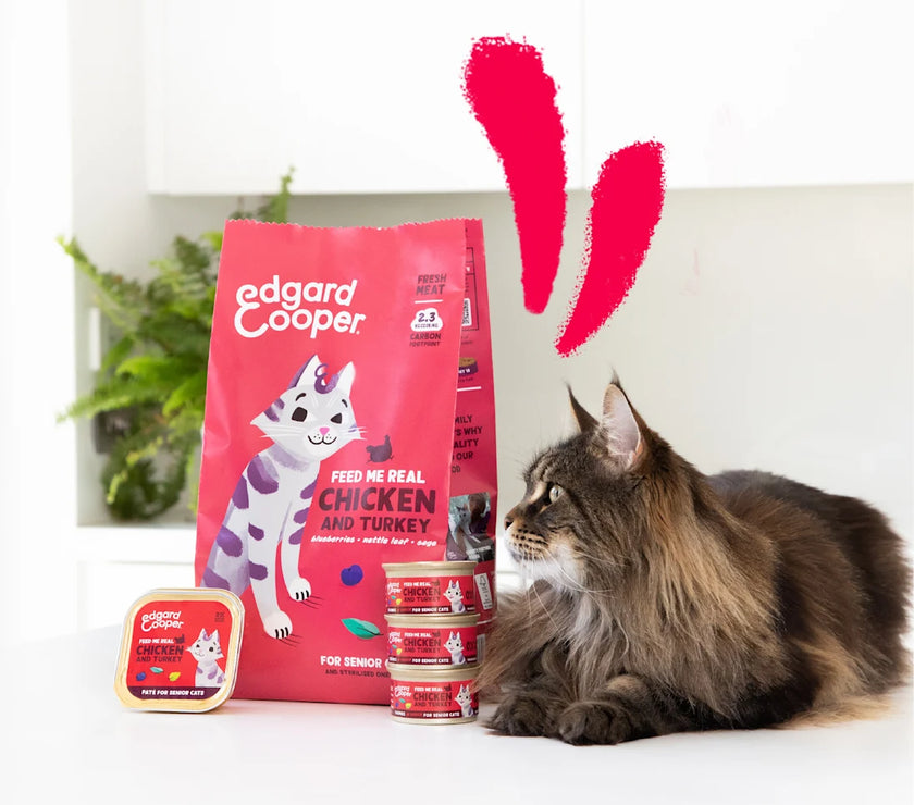 Kip en Kalkoen - Paté 85g Senior