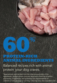 Graanvrij Adult Dog Recipe Kip met Vis 2 kg