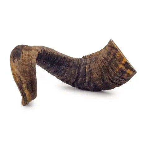 Schapenhoorn Groot Natuurlijke hondensnack