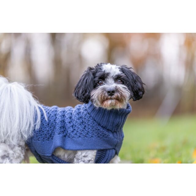 Trui Norwood Blauw
