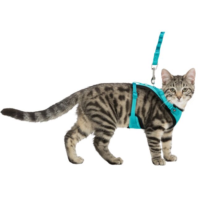 Mesh Y-tuig met Elastische riem