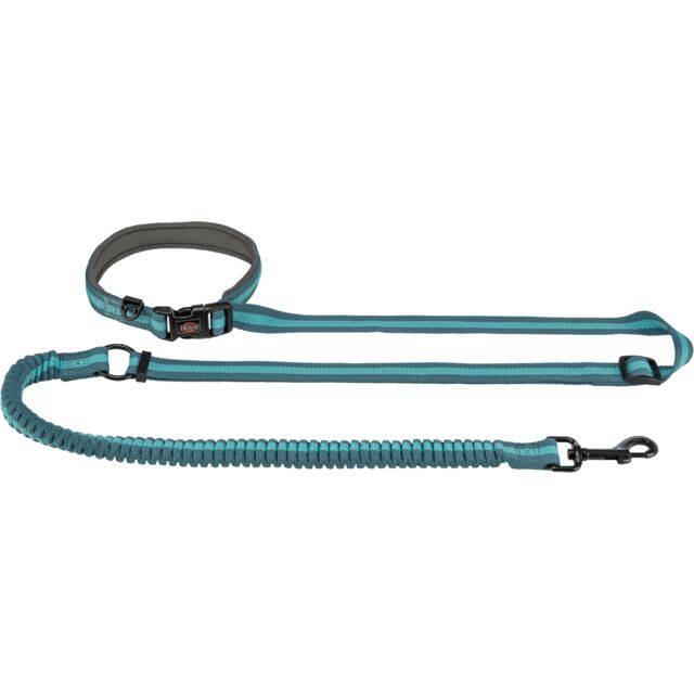 Jogging Lead