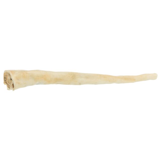 Buffalo Tail 30cm