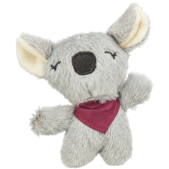 Koalabeer met catnip